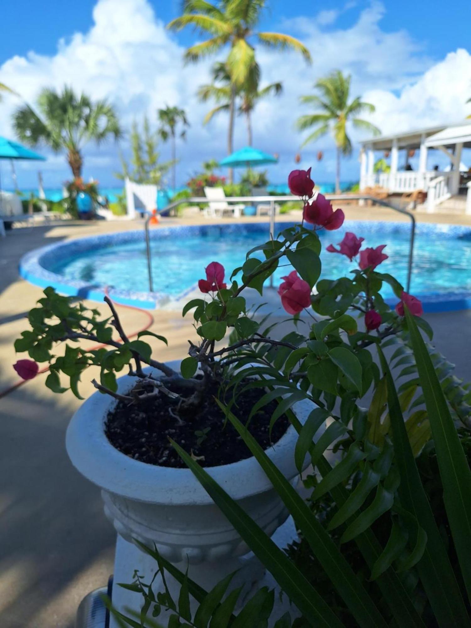 Sibonne Beach Hotel グレイス・ベイ エクステリア 写真